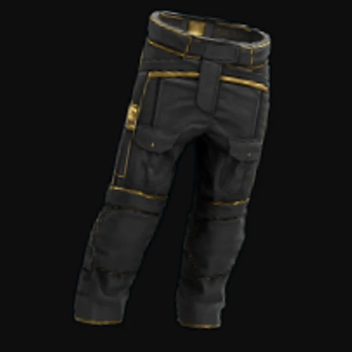Black Gold Pants