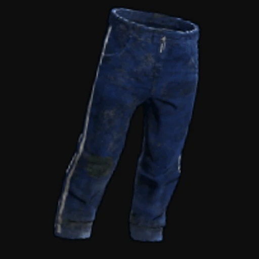 Blue Track Pants